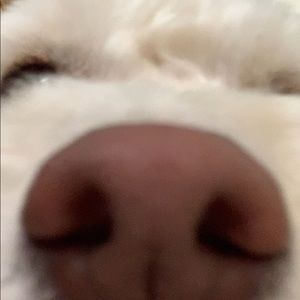 Meet your Posher, Maddie